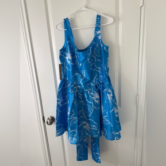 NWT Anthropologie Hutch Sleeveless Back-Bow Basque-Waist
Mini Dress Sz Large - Picture 4 of 15